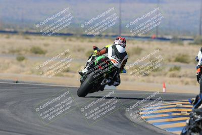 media/Feb-03-2024-SoCal Trackdays (Sat) [[767c60a41c]]/2-Turn 11 (10am)/